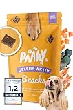 Paawy Gelenktabletten Hund I Grünlippmuschel Hund I Snacks mit MSM, Glucosamin...