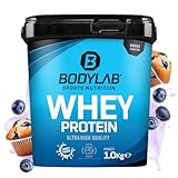 Bodylab24 Whey Protein Pulver, Blaubeer-Muffin, 1kg