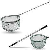 Angel Domäne Kescher Set - Aluminium Kescherstab & Kescherkopf Roach für...