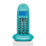 Motorola Moto C1001L Candy-Bar