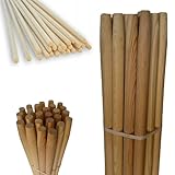 All4All Besenstiel 150cm - Holzstiel - Gerätestiel - Spatenstiel - Ersatz -...