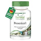 Fairvital | Blasen Kapseln - 90 Kapseln - mit Kürbiskern, Goldrutenkraut,...