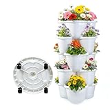 Bamworld Pflanzturm mit 5 Stapelbaren Etagen, Vertical Garden für Erdbeeren,...