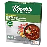 Knorr Gulaschsuppe konzentriert (mit hohem Fleischanteil) 1er Pack (1 x 3kg)