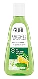Guhl Frische & Leichtigkeit Anti-Fett Shampoo - Inhalt: 250 ml - Haartyp:...