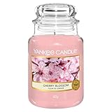 Yankee Candle Duftkerze im Glas (groß) | Cherry Blossom | Brenndauer bis zu 150...