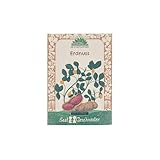 Saatgut Erdnuss von 'Die Stadtgärtner' – Samenfest & hochwertig |...