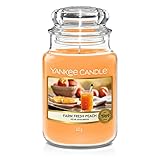 Yankee Candle Farm Fresh Peach Duftkerze, Glas, Orange, Große Kerze im Glas