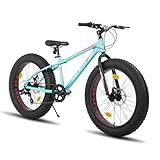 Hiland 24 Zoll Fat Tire Mountainbike für Jungen und Mädchen, 7-Gang...