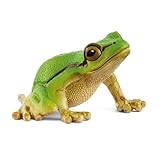 schleich WILD LIFE | Europäischer Laubfrosch 14882 | detailgetreue Tierfiguren...