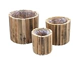 Holz Pflanztopf Natur im 3er Set - 23/20 / 14 cm - Blumen Übertopf Set mit...