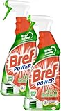 Bref Power-Fettlöser Spray 750ml, 2er Pack (2 x 750 ml)