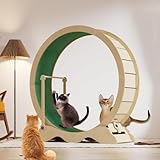 Katzenlaufrad, 115cm Katzen-Laufrad für Indoor-Katze, Laufband mit Abnehmbaren...