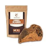 Wildfang® Kauwurzel aus der Baumheide für Hunde, Robustes und Langlebige...