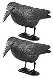 mgc24 Taubenschreck Rabe Lummy - Schwarze Vogelattrappe aus Kunststoff zur...