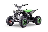 Elektro ATV - Quad für Kinder Beneo Motors T-REX Grün - 1300W