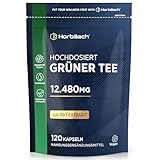 Grüntee Extrakt 12480 mg pro Tagesdosis | 120 Pulver Kapseln | Hochdosiert...