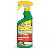 Neudorff BioKraft Grundstoff Schachtelhalm – Anwendungsfertiges Spray gegen...