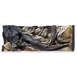 ZooPaul Aquarium Rückwand 3D Amaonas 100x40cm