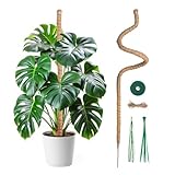Mcbazel 120CM Monstera rankhilfe Kokosfaser Rankhilfe mit Zubehör, Rankhilfe...