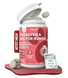 Prä & Probiotika Hund [MADE IN GERMANY, ZUCKERFREI & LABORGEPRÜFT] Darmkur mit...