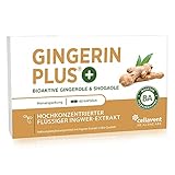 Bio Ingwer-Extrakt Kapseln | 22.000mg Ingwer Pulver | höchste Gingerol &...