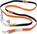 Hundefreund 6-in-1 Multifunktionsleine - Verstellbare Hundeleine 3m für...