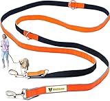 Hundefreund 6-in-1 Multifunktionsleine - Verstellbare Hundeleine 3m für...