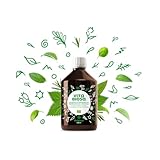 Vita Biosa Original 500 ml in Bio Qualität - Fermentgetränk mit...