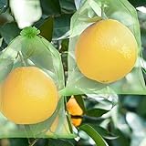 60 Stück Trauben-Schutzbeutel, traubenschutzbeutel 30x20, mit Zugband,...