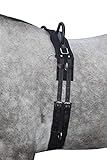 HKM 12701 Longiergurt Canvas, Fester Doppelgriff Longierbedarf Schwarz Pony, 1...