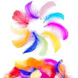 Firschoie 500 Stück Bunte Federn, Federn Basteln, Indianer federn deko,...