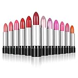 Layhou 12 Farben Wasserdicht Lippenstift Set Wasserdichte Langlebige Lipgloss...