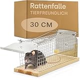 Praknu Rattenfalle Lebendfalle 30 cm Groß aus FSC® Holz - Tierfreundlich &...