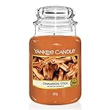 Yankee Candle Duftkerze im Glas (groß) | Cinnamon Stick | Brenndauer bis zu 150...