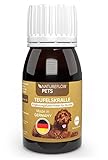 NATUREFLOW Teufelskralle für Hunde 100ml Flüssig - Made in Germany, Einfache...