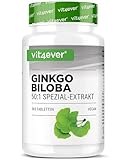 Ginkgo Biloba 6000 mg - 365 Tabletten – Premium Extrakt: Mit Flavonglykoside +...