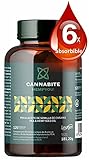 PEA Cannabite 400mg - 120 Kapseln mit Hanföl, Levagen Palmitoylethanolamid,...