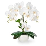 PASCH® Orchideen künstlich in Hochglanz-Keramiktopf (40cm) | Kunstblumen im...