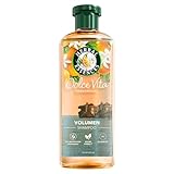 Herbal Essences Volumen Shampoo mit Orangenduft 350ml, Von feinem Haar zu...