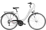 Pegasus Avanti 18 28' Trekkingbike 18-Gang Shimano Kettenschaltung 28 Zoll 18...