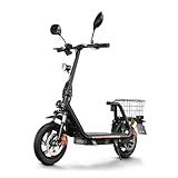 TWOFISH E Scooter mit Straßenzulassung(EEC), Elektroroller für Erwachsene mit...