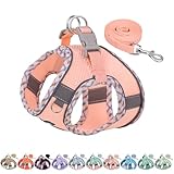 AIITLE Kleines Hundegeschirr, Katzengeschirr mit Leine, einstellbares...