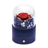 Ewige Rose mit Kette Box, Infinity Rosen Geschenkbox für Frauen, Konservierte...