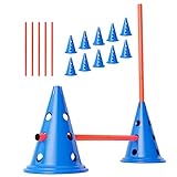 ANISKILLS® - Premium Agility Set - 10 Blaue Kegel 30,5cm hoch, 5 orangene...