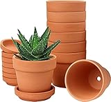 Hollyone 8 Stück kleine Terrakotta Töpfe, 8 X 8 cm rund Blumentopf Ton mit...