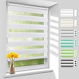 Homland Doppelrollo Klemmfix ohne Bohren B40 x H210 cm(Stoffbreite 35cm) Weiß,...