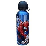 Aluminium Trinkflasche Spiderman Marvel Trinkflasche mit Schnuller für Kinder...