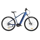 Varstrom Elektrofahrrad für Erwachsene Mittelmotor 250W 100 Nm E-Bike Damen...