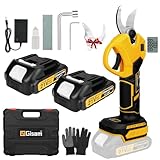 Gisam Akku Gartenschere, 40MM Elektrische Astschere mit 2 x 2Ah Batterien & LCD...